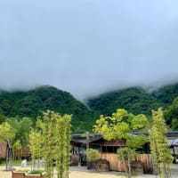 技能実習生、侍になるべく日光江戸村へ❗️