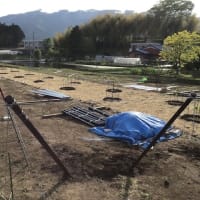 ぶどう棚用雨除け資材 簡易トンネルメッシュ 株式会社アセラ 園芸資材部 ぶどう棚用雨除け資材 簡易トンネルメッシュ 株式会社アセラ 園芸資材部