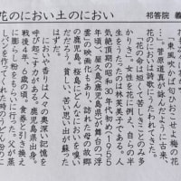 『酔いどれエッセー第８０号発行‼️』