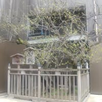 太宰府天満宮。