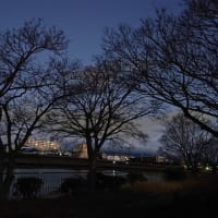 2021年12月26（日）ウォーキング
