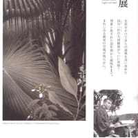 『田中一村展 奄美の光 魂の絵画』ー田中一村の全画業を一望に