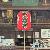 革堂のハス