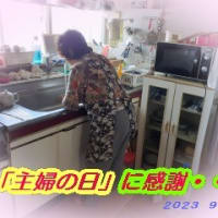  　「主婦休みの日」感謝です。
