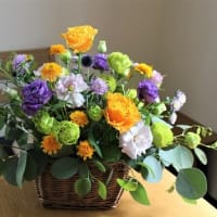 薔薇とトルコ桔梗のバスケットアレンジ