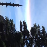 石鎚山
