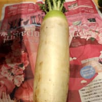 有機野菜・低農薬野菜の「らでぃっしゅぼーや」探訪（13）