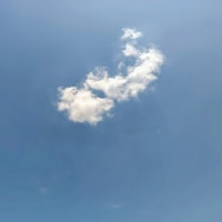 ホタルのお宿