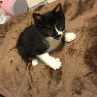 留守中の事