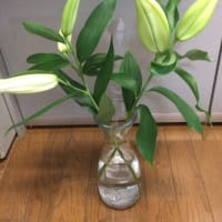 今日もお花・・・