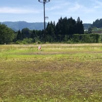 明日は我が身