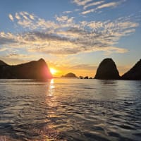 昨夜の夜釣り　6月20日(金)