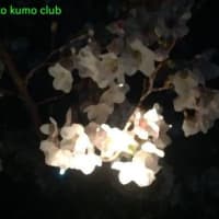 kaze to kumo club作品集-改造計画2023-10/1 +今回のトピックス