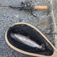 渓流釣り行ってきました。