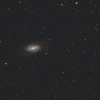 NGC4565 NGC2903 NGC2683撮影