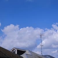今日いち-2025年6月27日