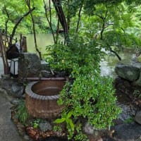 長岡京錦水亭へ