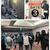 東京マラソン2023-スタート～レース前半編