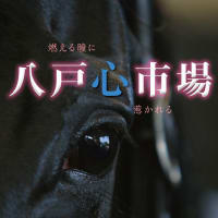 【八戸市場2023(Hachinohe Sale)】の「上場馬名簿」が公開(1歳馬44頭)