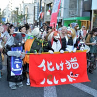 化け猫フェスティバル（Cat Parade, 2019.10.13, kagurazaka Tokyo）