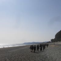 句会ライブがやって来た！　2002.11.1