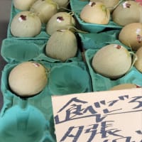 夕張メロン