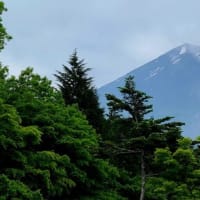今日の富士山etc