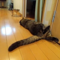 良いことを教えてあげよう