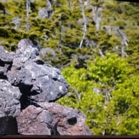 おわかりいただけただろうか？……【解答編】