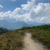 彼女と付き合うようなものだとか