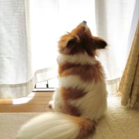 2025/04/19 土用の間日は草むしり