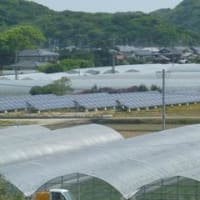 当社はガハハハウスさんのビジネスパートナーです。