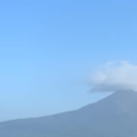 守りたいものの為に