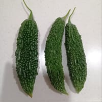 家庭菜園の野菜たち