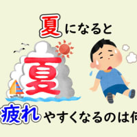 夏は何故疲れやすいのか？歳をとると顔が厚くなる！健康雑学【豆知識 トリビア おもしろい】