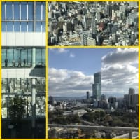 サン婆、大阪へ