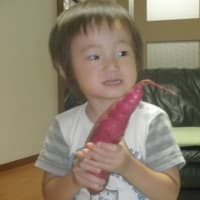 記事のタイトルを入力してください（必須）