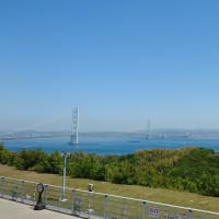 はるたび_2024_８日目-1 ／ 徳島・ピノッキオ で モーニング