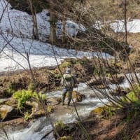 姫川支流の残雪の渓で
