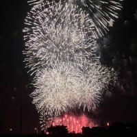 鵜来島ツアー❗