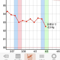 良々ダイエット