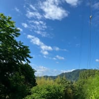 美化ってなんでしょう