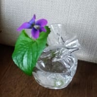 活けてみました
