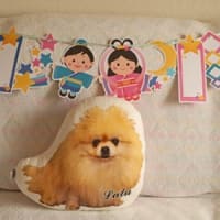 「へー」な話