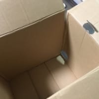 ダンボールの穴