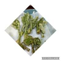 田舎遊び・・・！