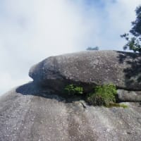 白谷雲水峡