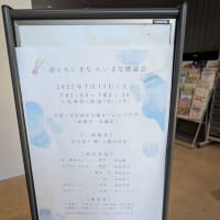 蓮の咲き具合を見に行く