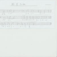 SONG  駝鳥その他