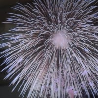 花火なんて見たくない